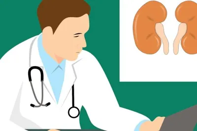 Illustration of a dietitian at a laptop next to a pair of kidneys