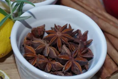 Cinnamon sticks and star anise, warm baking spices