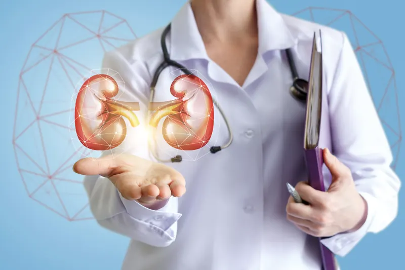 Clinician holding a glowing illustration of the kidneys