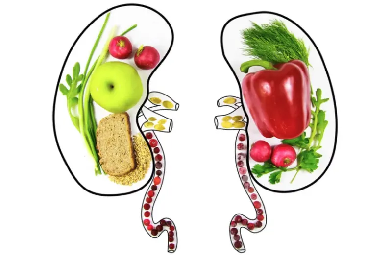 Illustration of kidneys made from fruits and vegetables